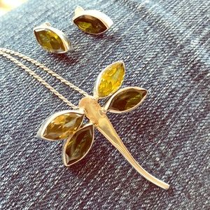 Dragonfly pendant and Earrings set
